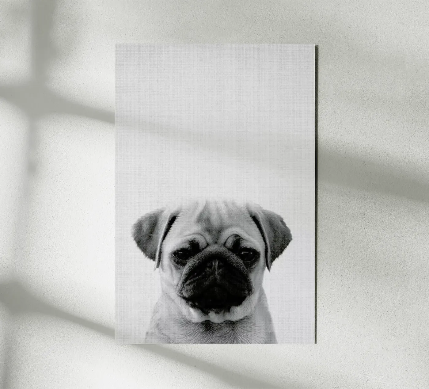 Print 44 alluminio dibond da Lila & Lola