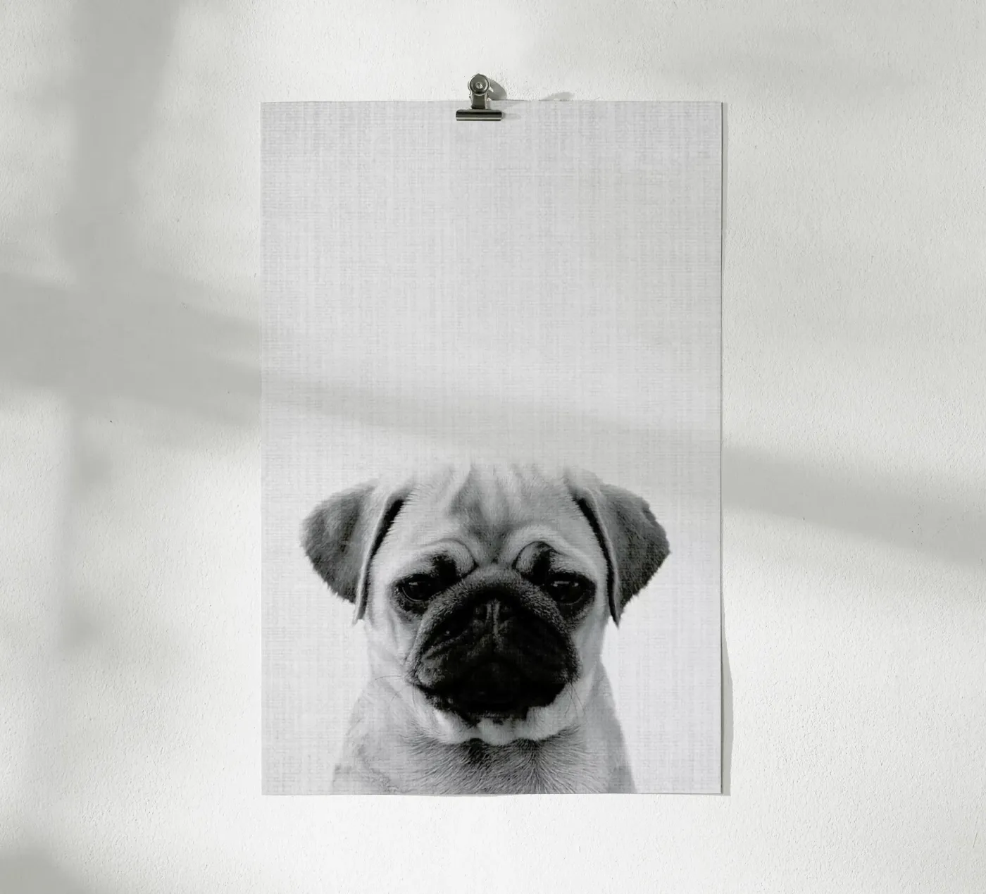 Print 44 Poster von Lila & Lola