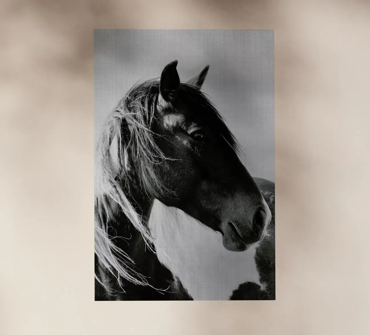 Print 181 pellicola backlit da Lila & Lola