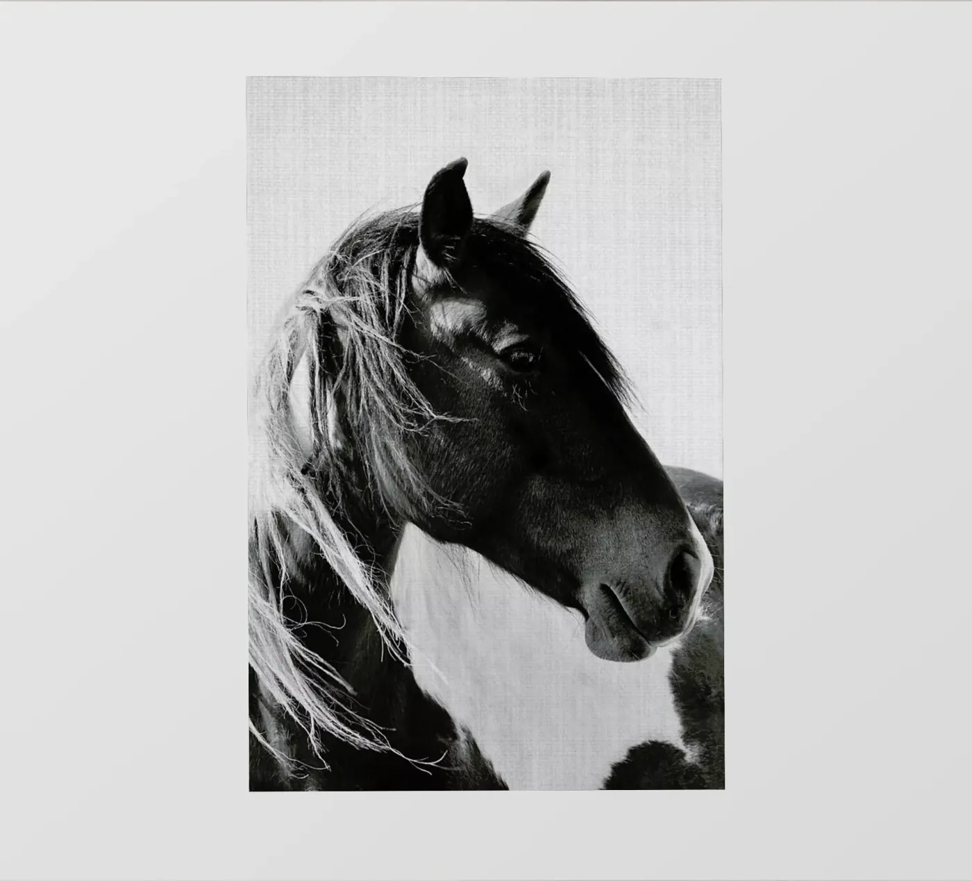 Print 181 pellicola backlit da Lila & Lola