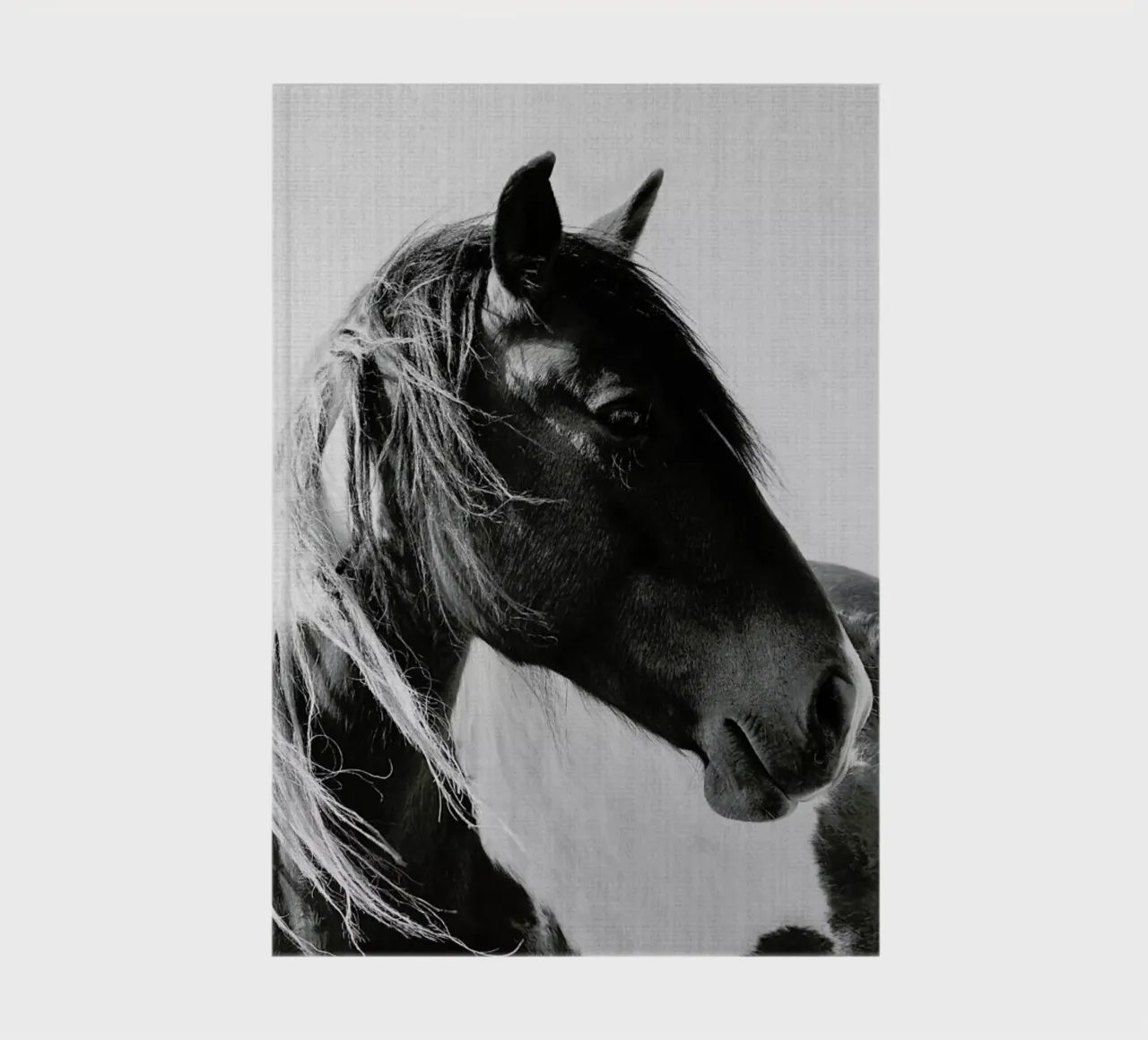 Print 181 notebook by Lila & Lola