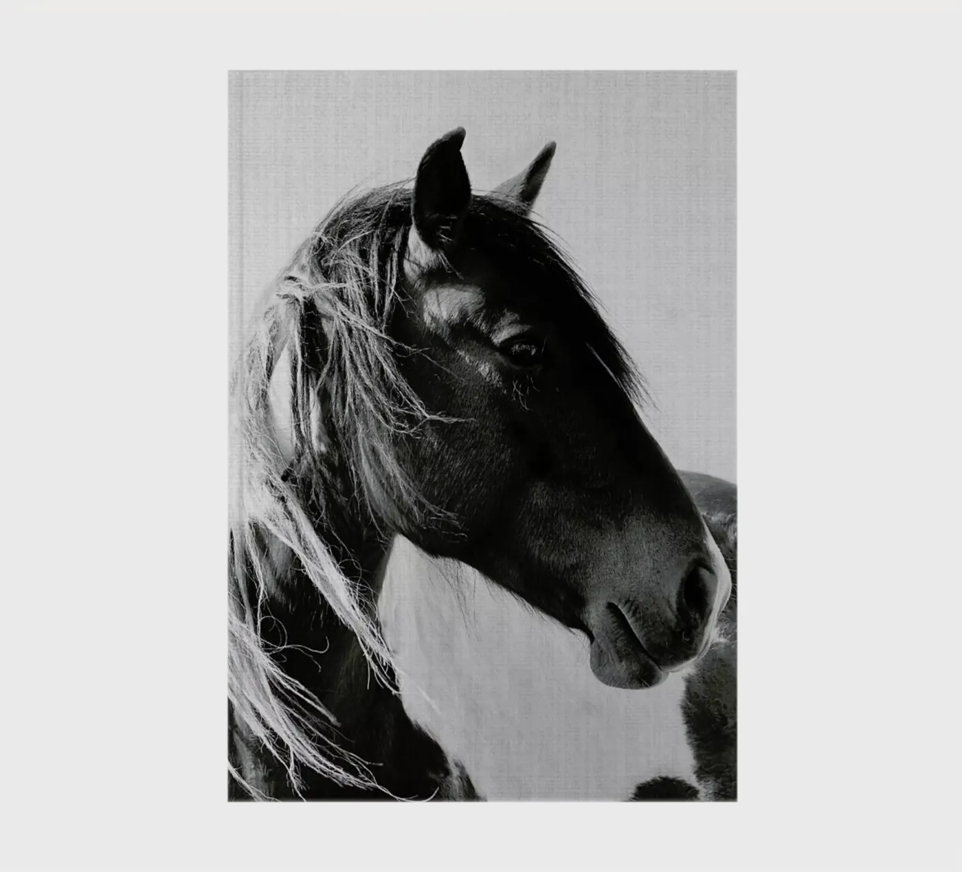 Print 181 carnet de Lila & Lola