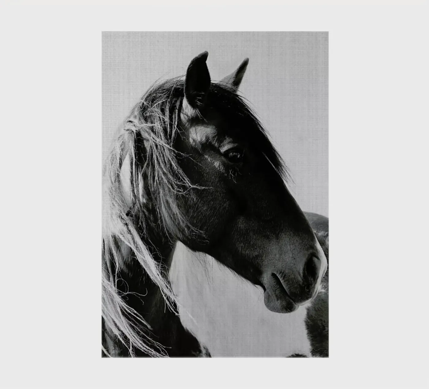 Print 181 carnet de Lila & Lola