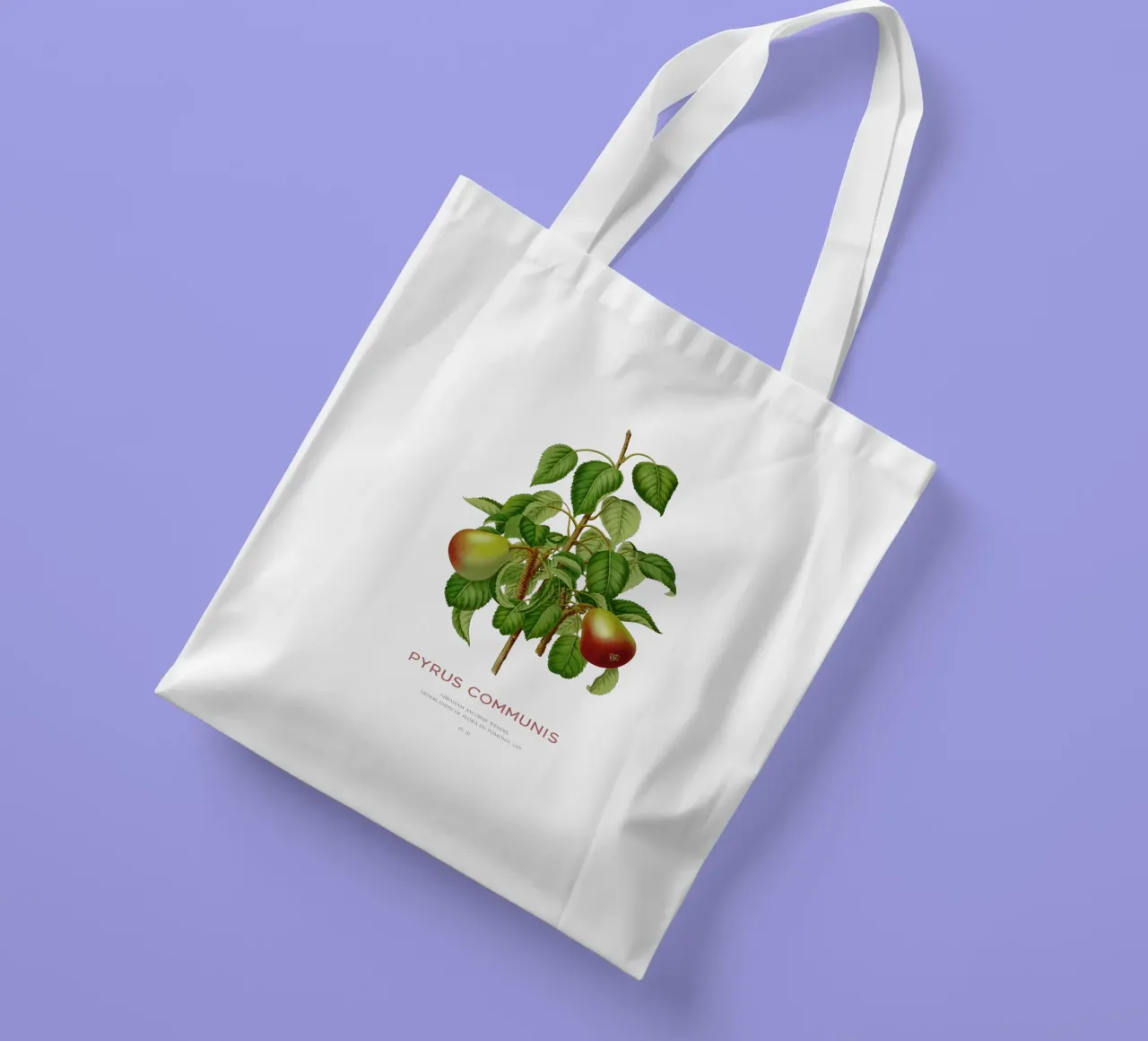 Pero comune o Pyrus communis borsa in juta da Vintagrafica