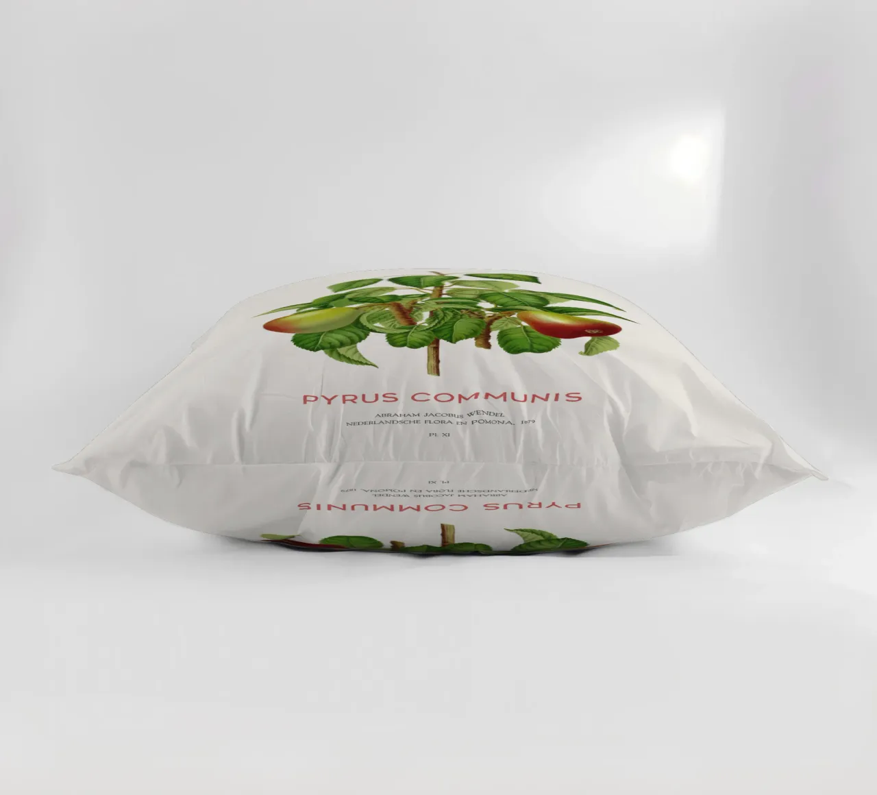 Pero comune o Pyrus communis cuscino da Vintagrafica