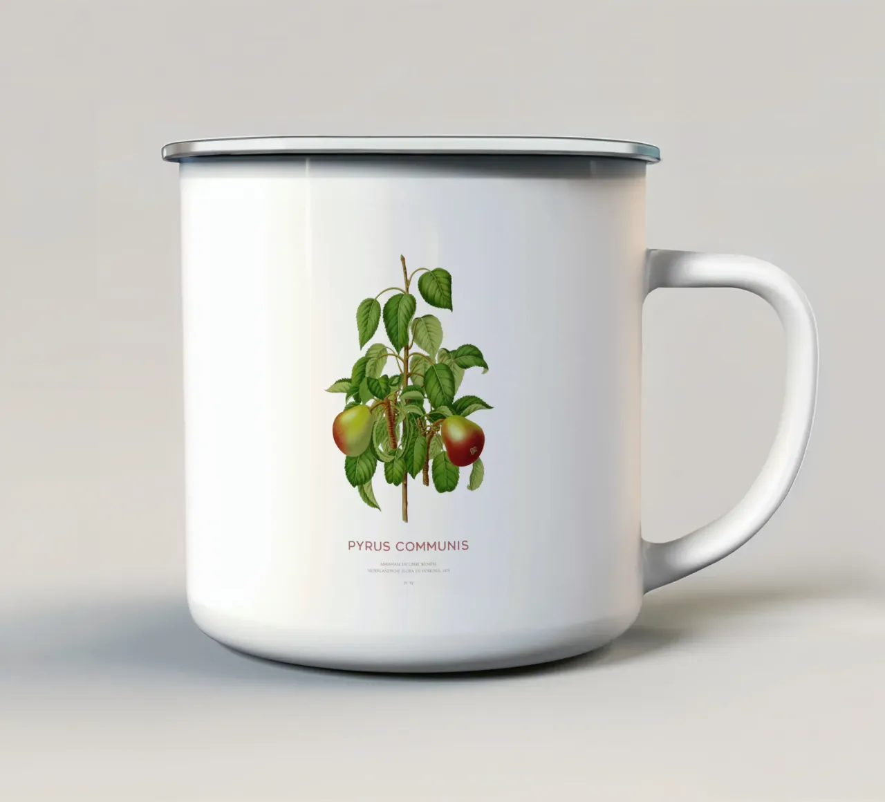Pero comune o Pyrus communis tazza in smalto da Vintagrafica