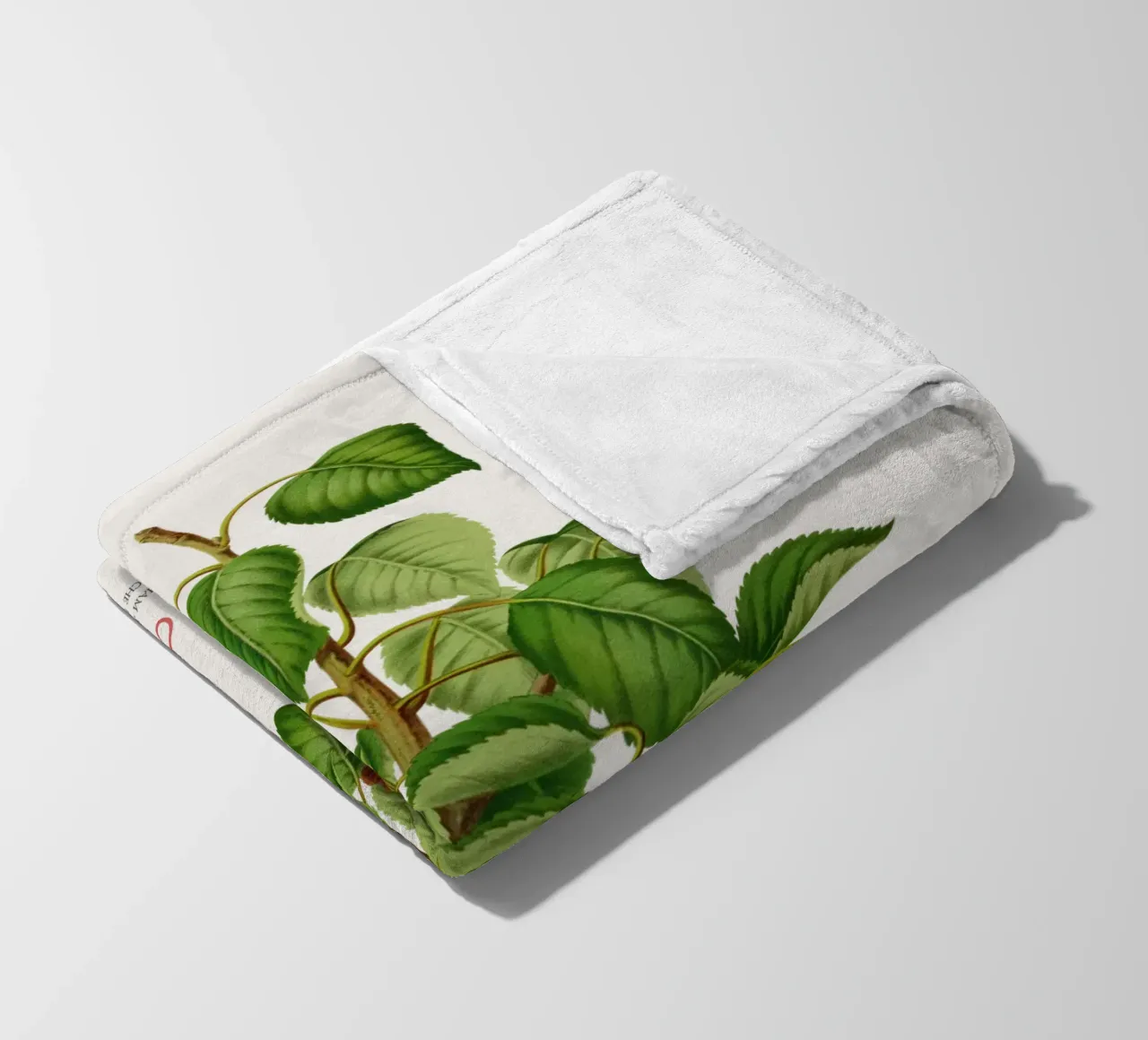 Pero comune o Pyrus communis coperta in pile da Vintagrafica