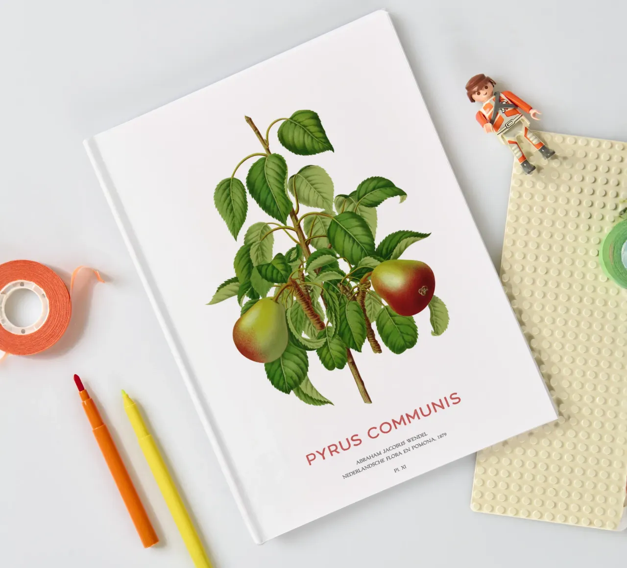 Common pear or Pyrus communis notebook by Vintagrafica