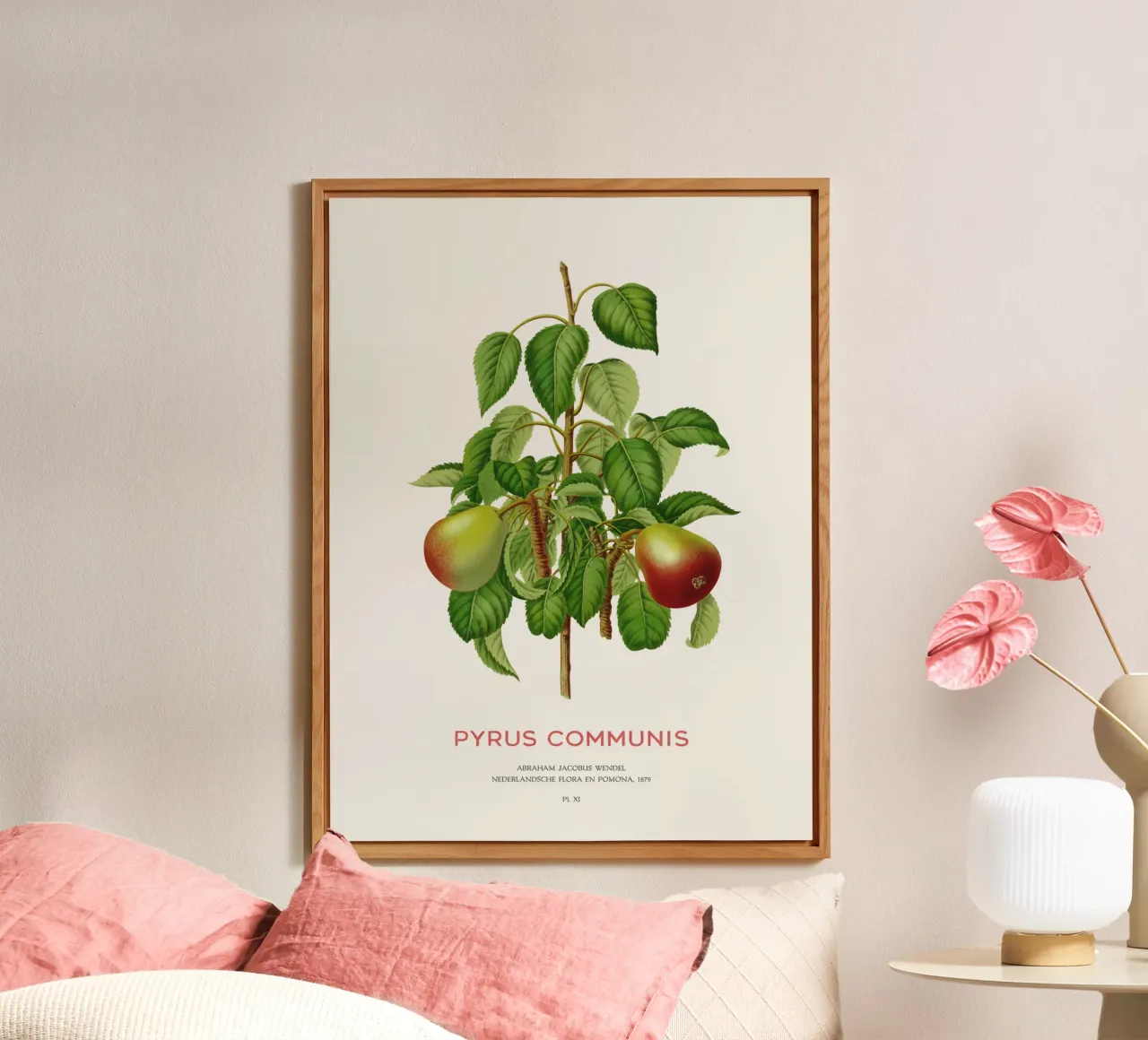 Pero comune o Pyrus communis alluminio dibond da Vintagrafica