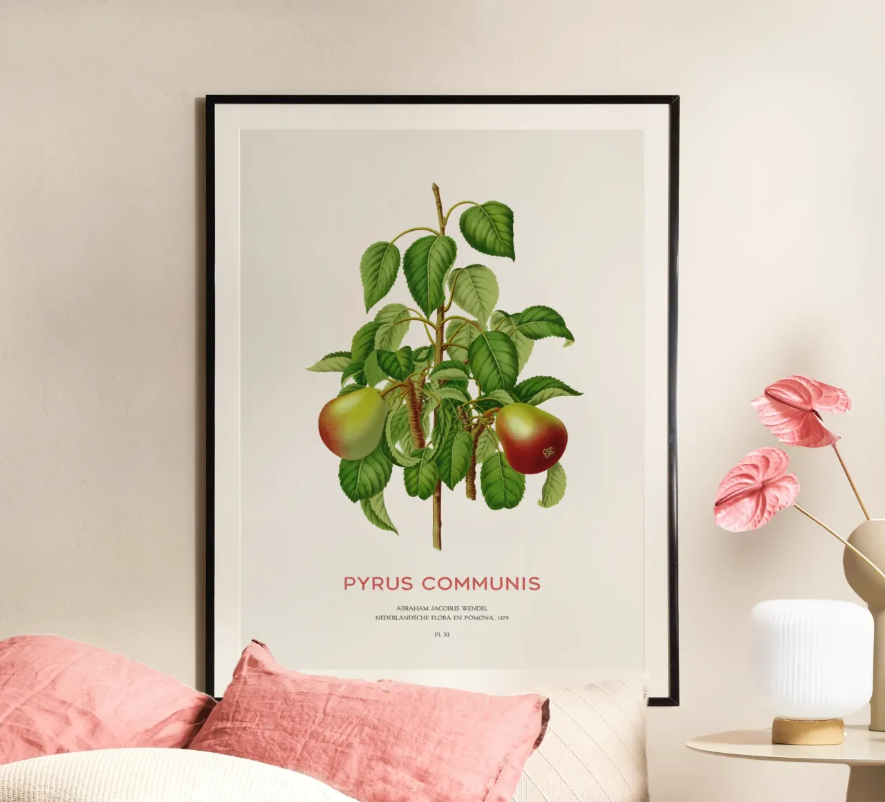 Pero comune o Pyrus communis carta hahnemühle da Vintagrafica