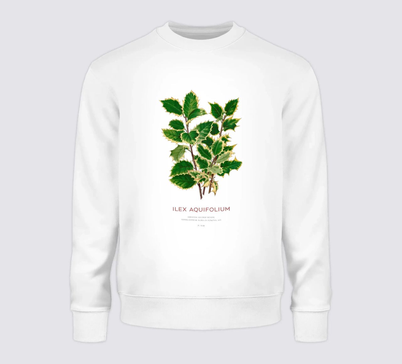 Acebo de Navidad o Ilex aquifolium sudadera de Vintagrafica