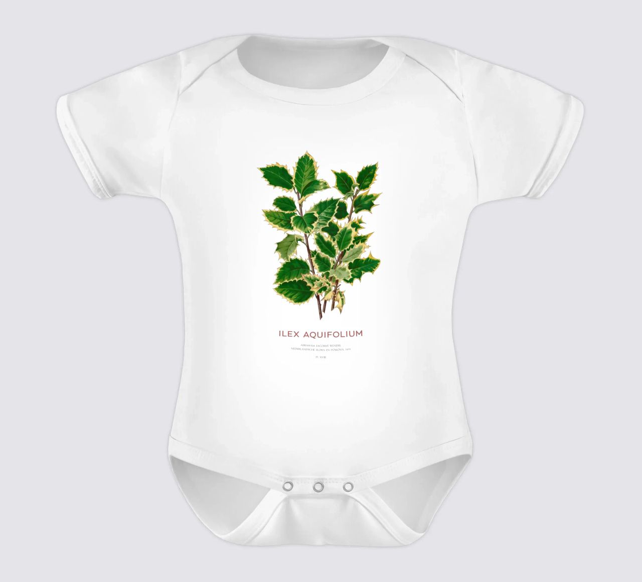 Acebo de Navidad o Ilex aquifolium body de bebé de Vintagrafica