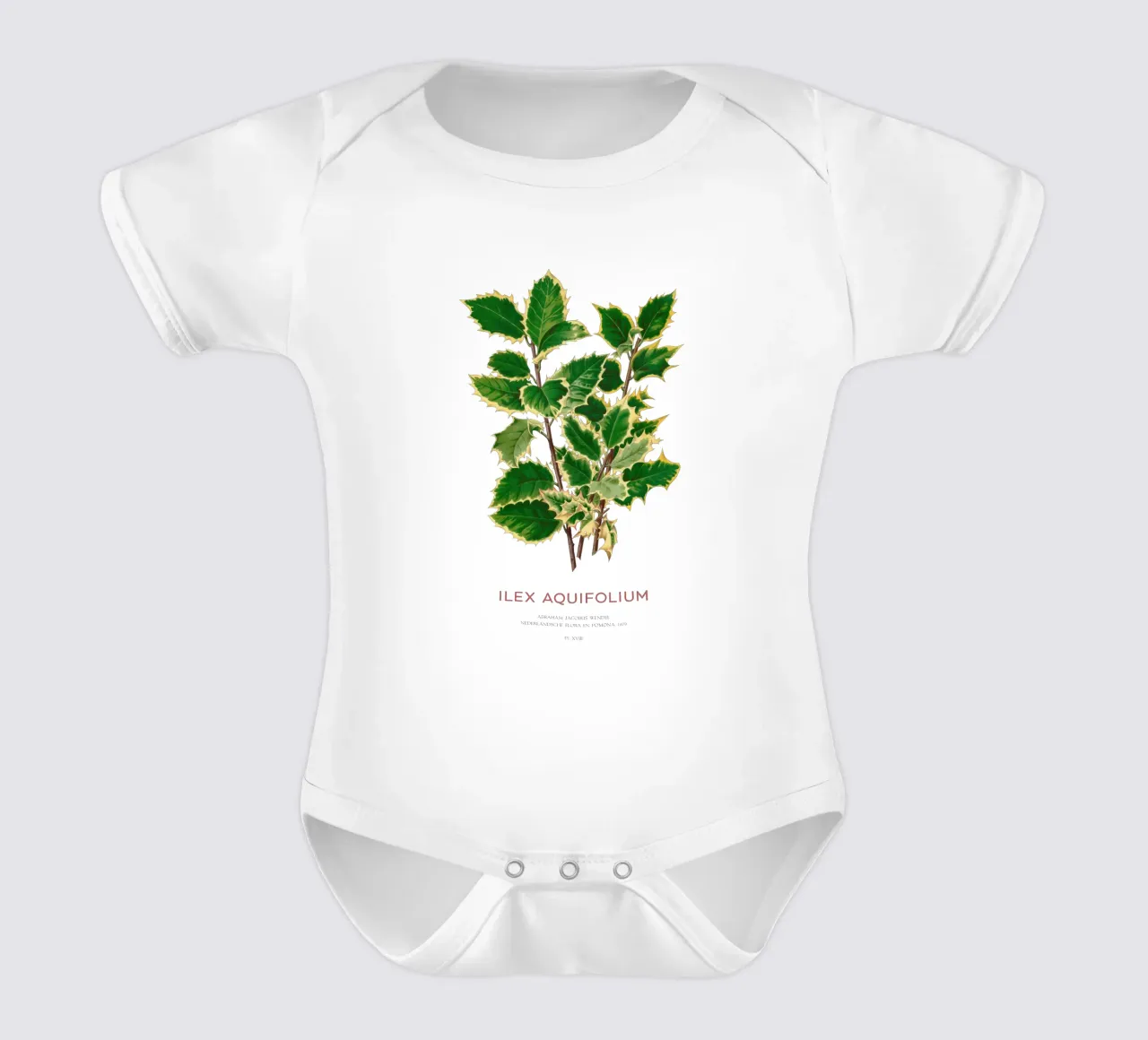 Agrifoglio di Natale o Ilex aquifolium body neonato maniche corte da Vintagrafica