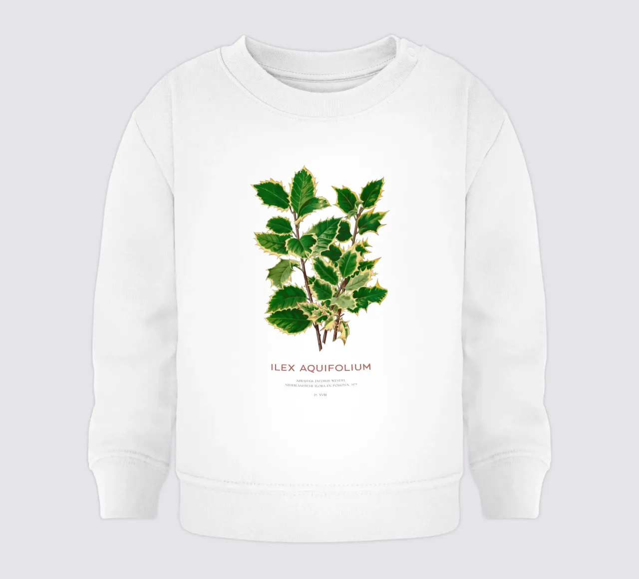 Agrifoglio di Natale o Ilex aquifolium felpa neonato da Vintagrafica