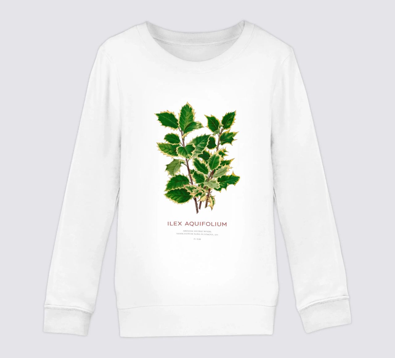 Acebo de Navidad o Ilex aquifolium sudadera para niño de Vintagrafica