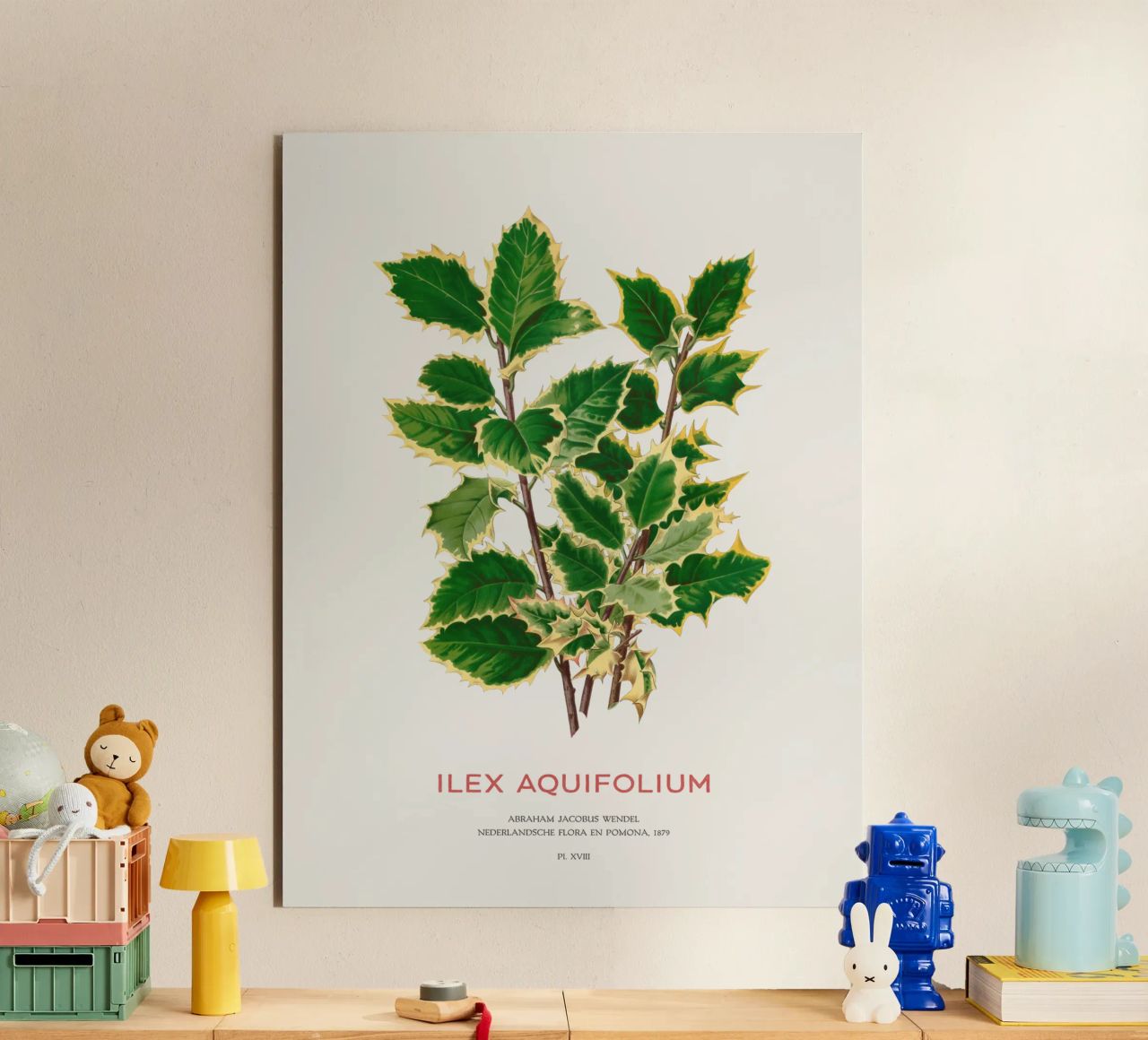 Acebo de Navidad o Ilex aquifolium aluminio dibond de Vintagrafica