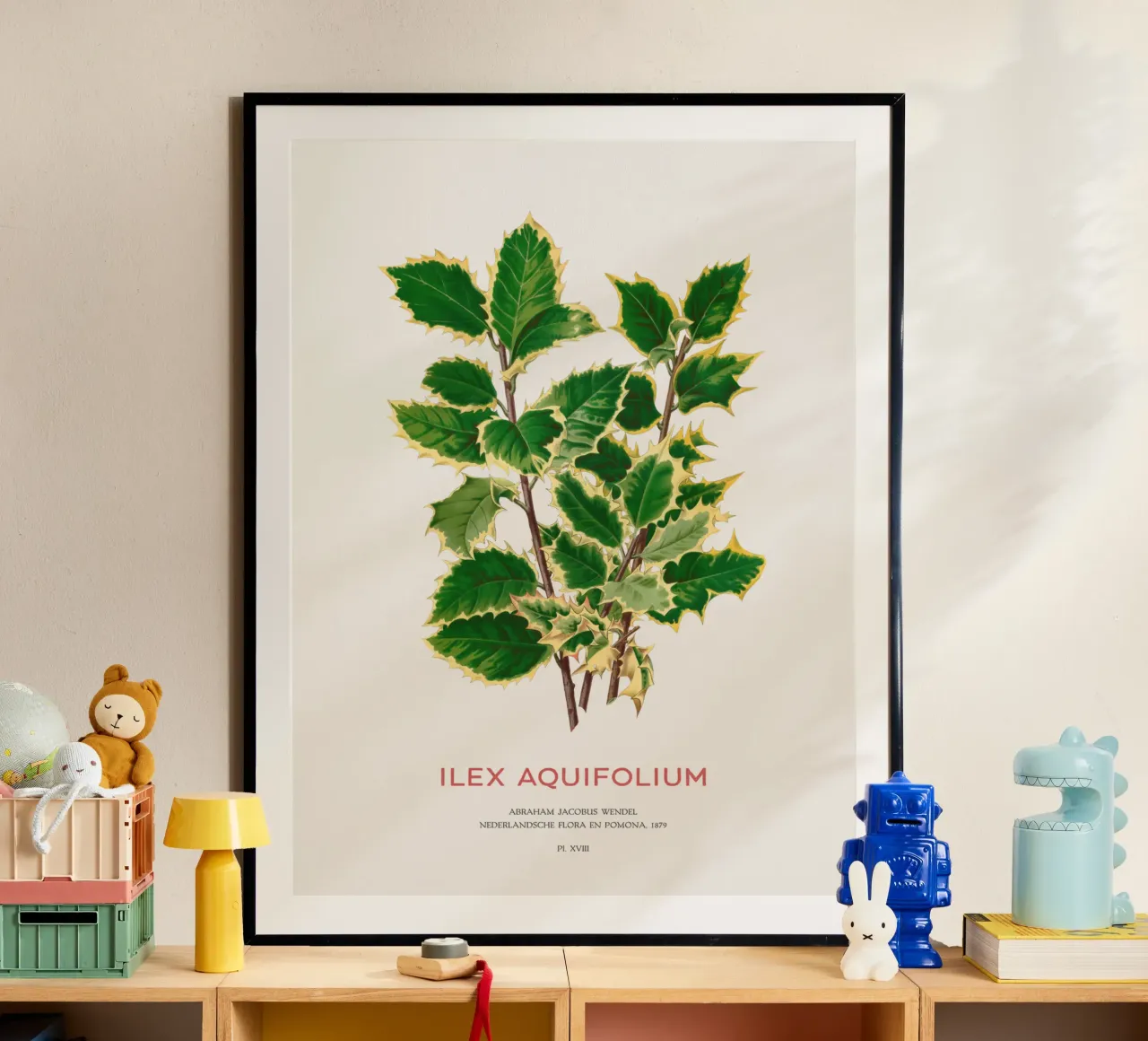 Houx de Noël ou Ilex aquifolium poster de Vintagrafica
