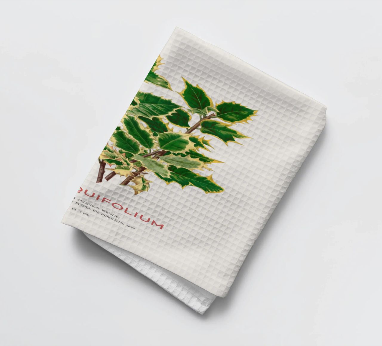 Acebo de Navidad o Ilex aquifolium paño de cocina de Vintagrafica