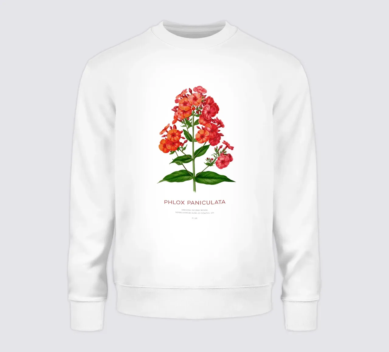 Garten-Phlox oder Phlox paniculata Sweatshirt von Vintagrafica