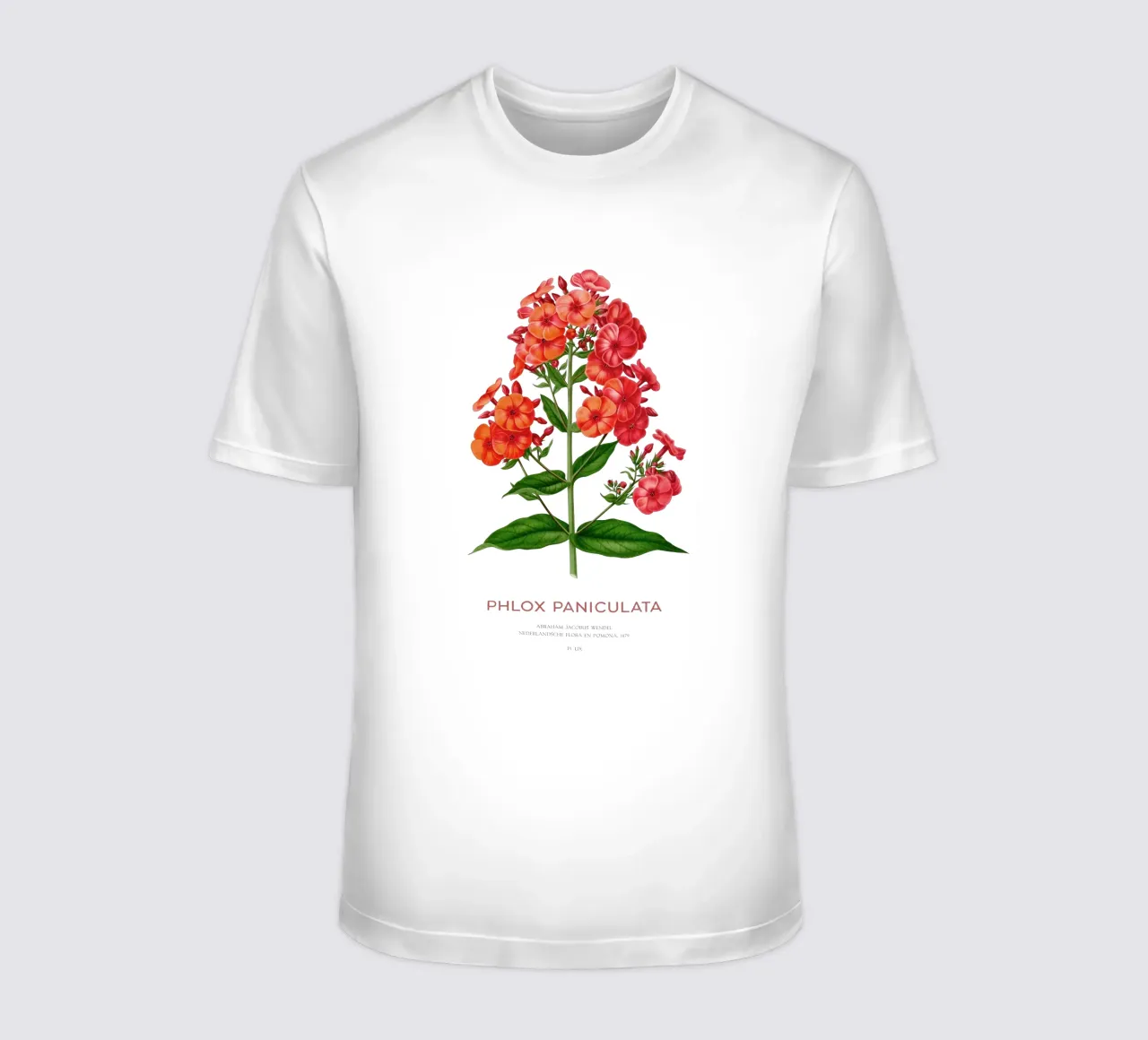 Garten-Phlox oder Phlox paniculata T-Shirt von Vintagrafica