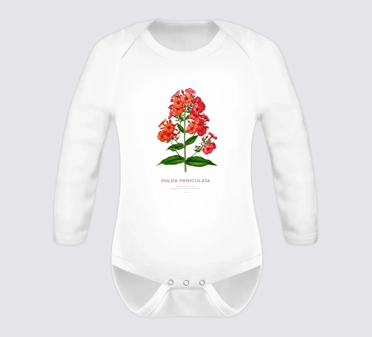 Garden phlox or Phlox paniculata long-sleeve baby romper by Vintagrafica