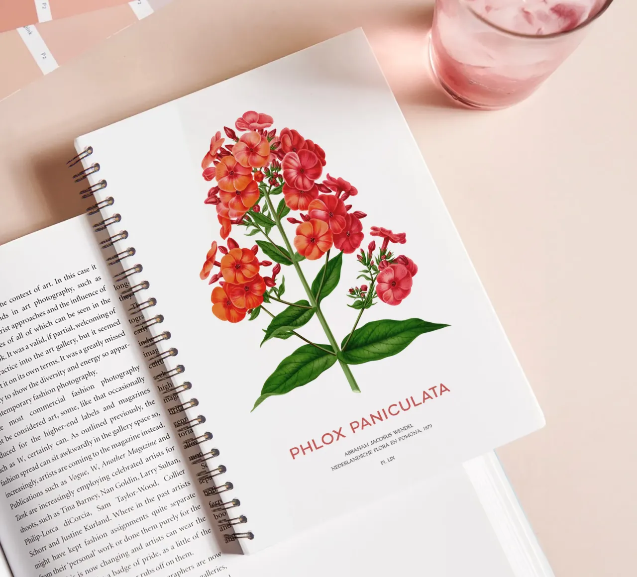Garden phlox or Phlox paniculata spiral notebook by Vintagrafica