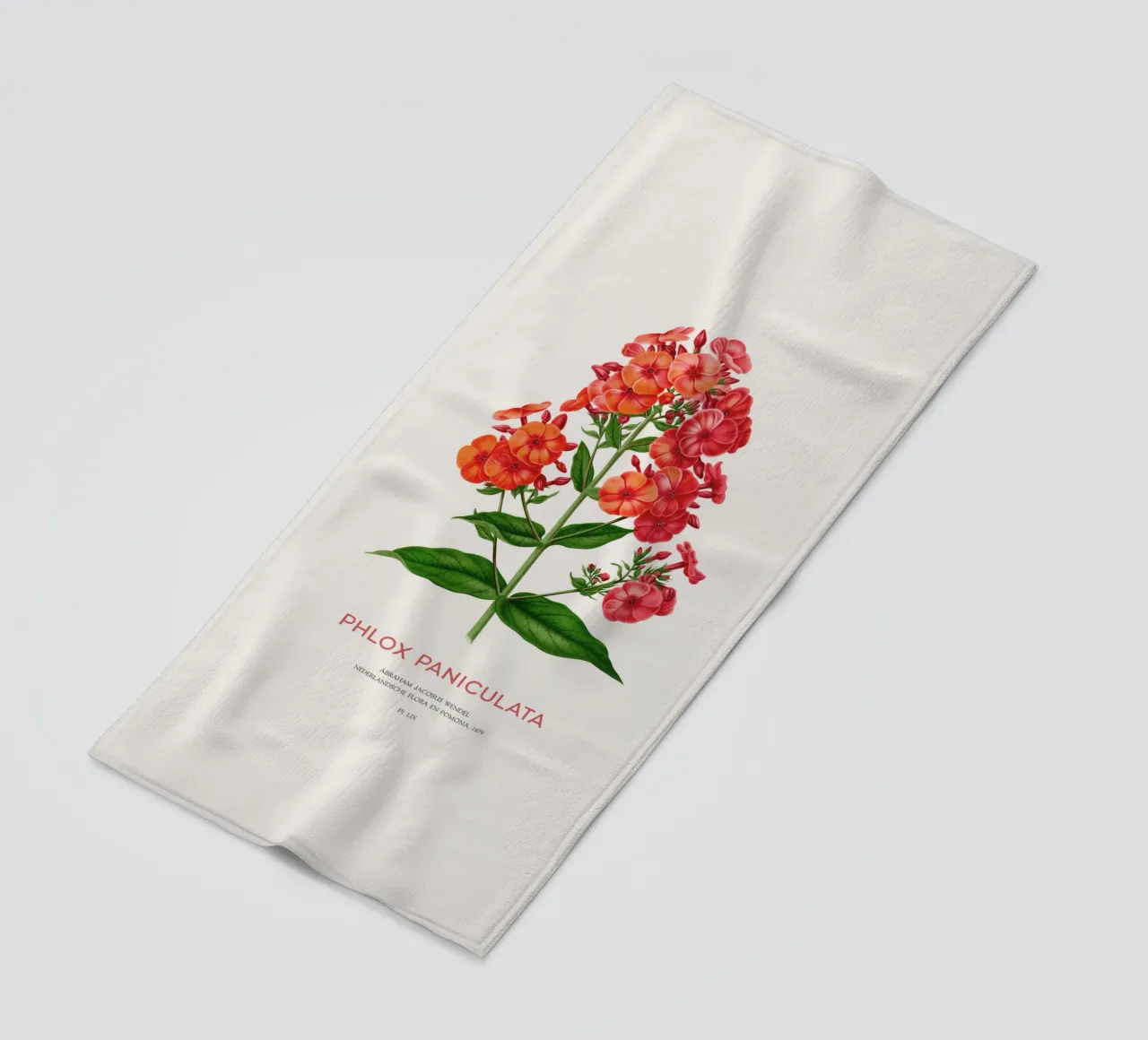 Garden phlox or Phlox paniculata beach towel by Vintagrafica