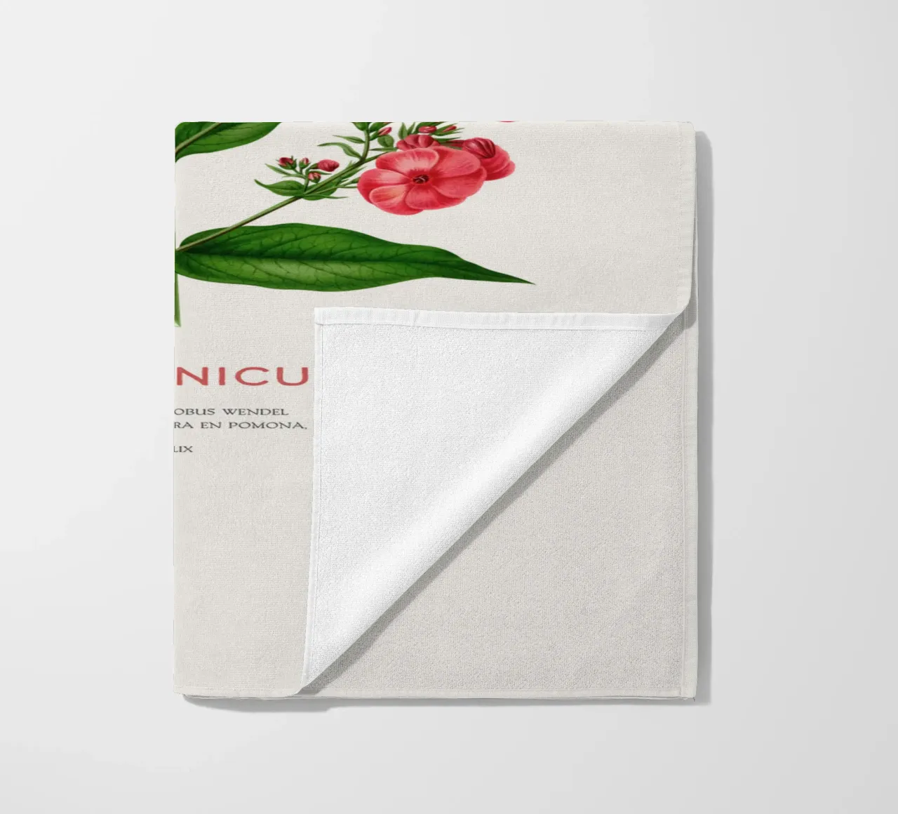 Garden phlox or Phlox paniculata beach towel by Vintagrafica