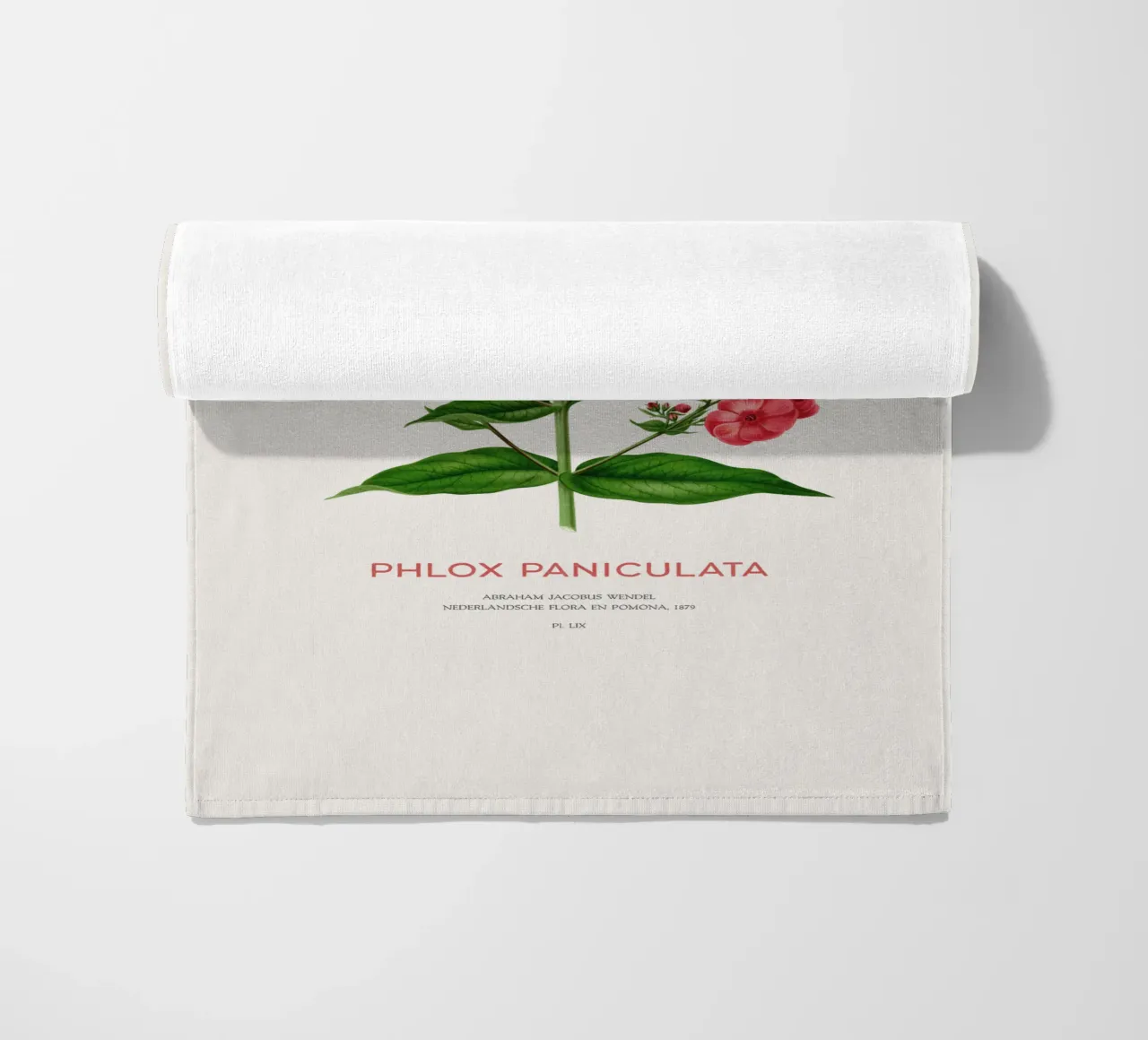 Garden phlox or Phlox paniculata beach towel by Vintagrafica