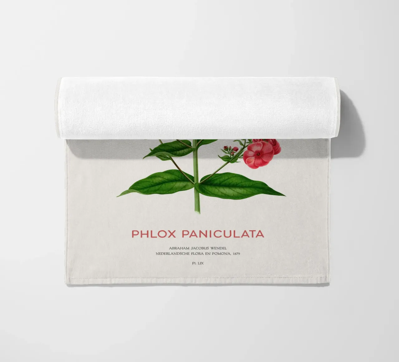 Garden phlox or Phlox paniculata beach towel by Vintagrafica
