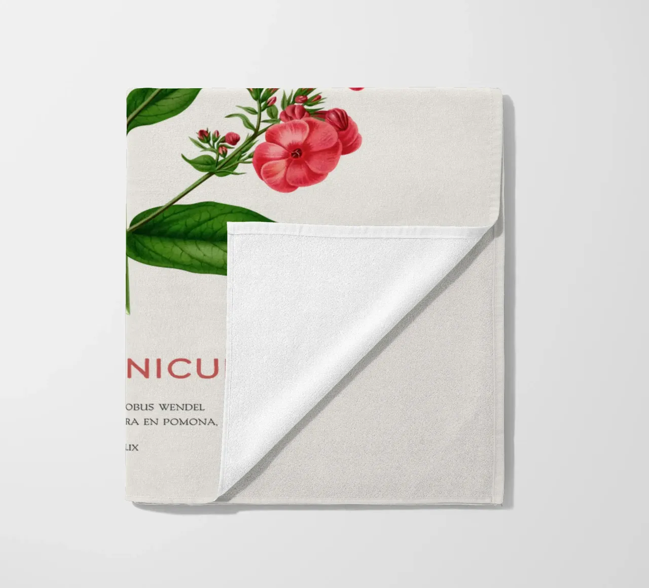 Garden phlox or Phlox paniculata beach towel by Vintagrafica