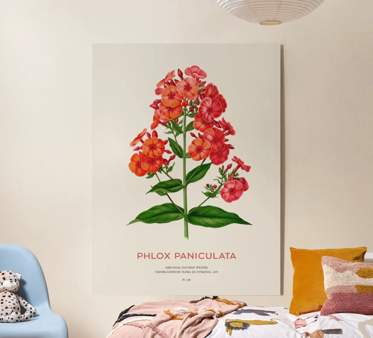 Garden phlox or Phlox paniculata acrylic glass by Vintagrafica