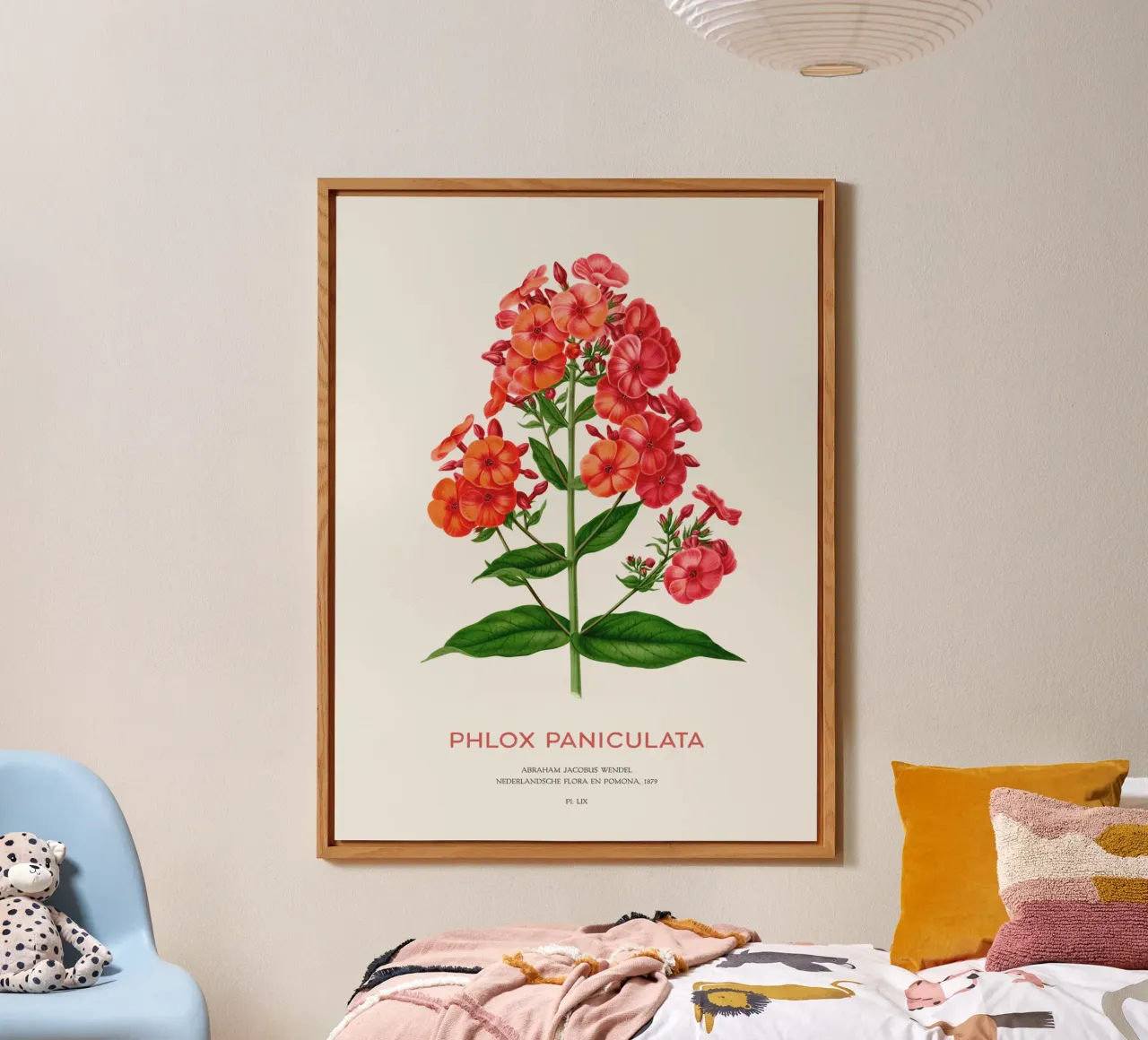 Garten-Phlox oder Phlox paniculata Forex-Platte von Vintagrafica