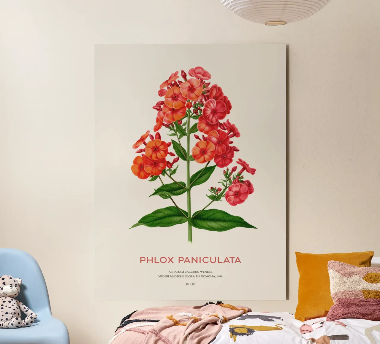 Garten-Phlox oder Phlox paniculata Forex-Platte von Vintagrafica