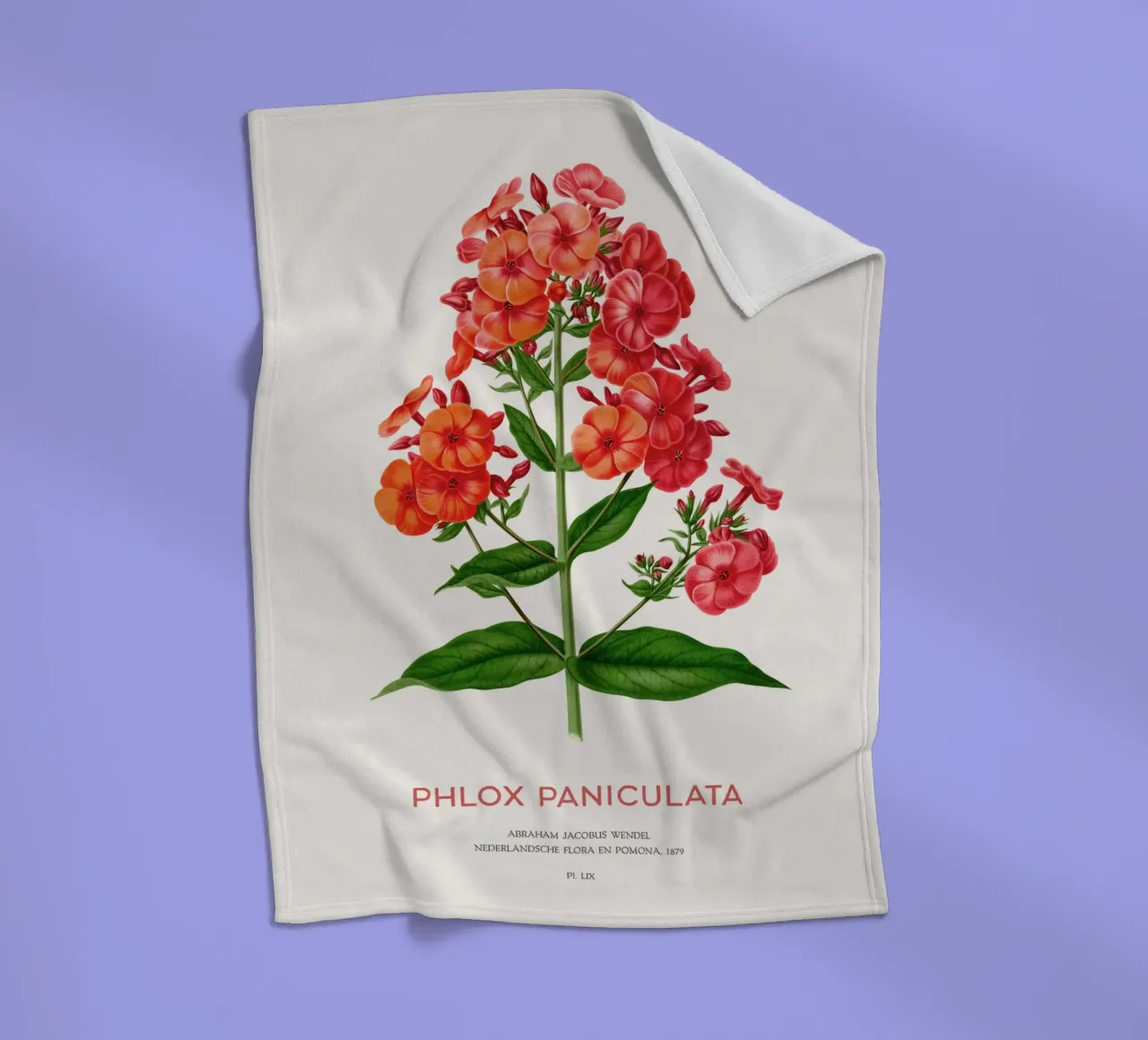 Garten-Phlox oder Phlox paniculata Fleecedecke von Vintagrafica