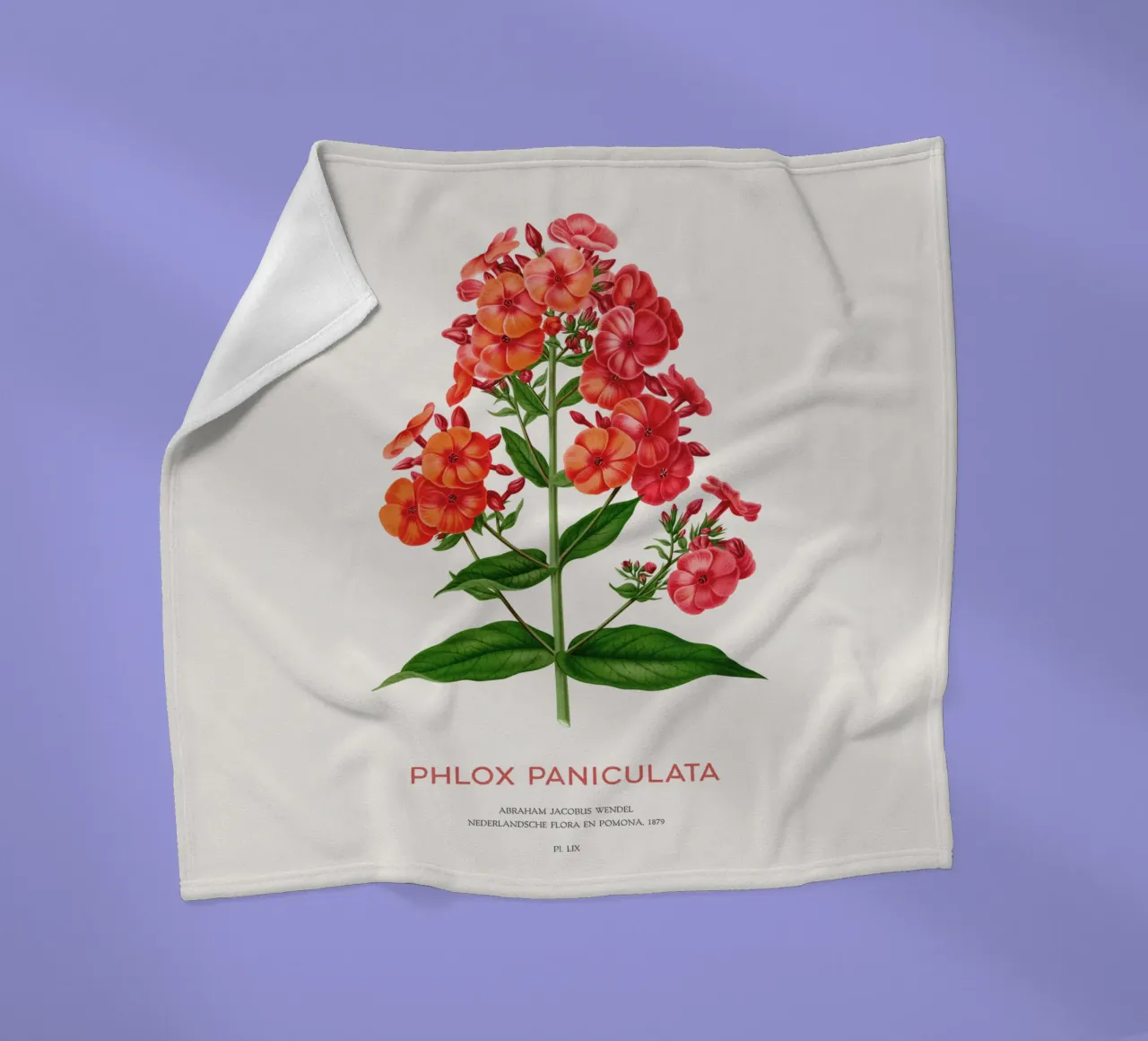 Garten-Phlox oder Phlox paniculata Fleecedecke von Vintagrafica