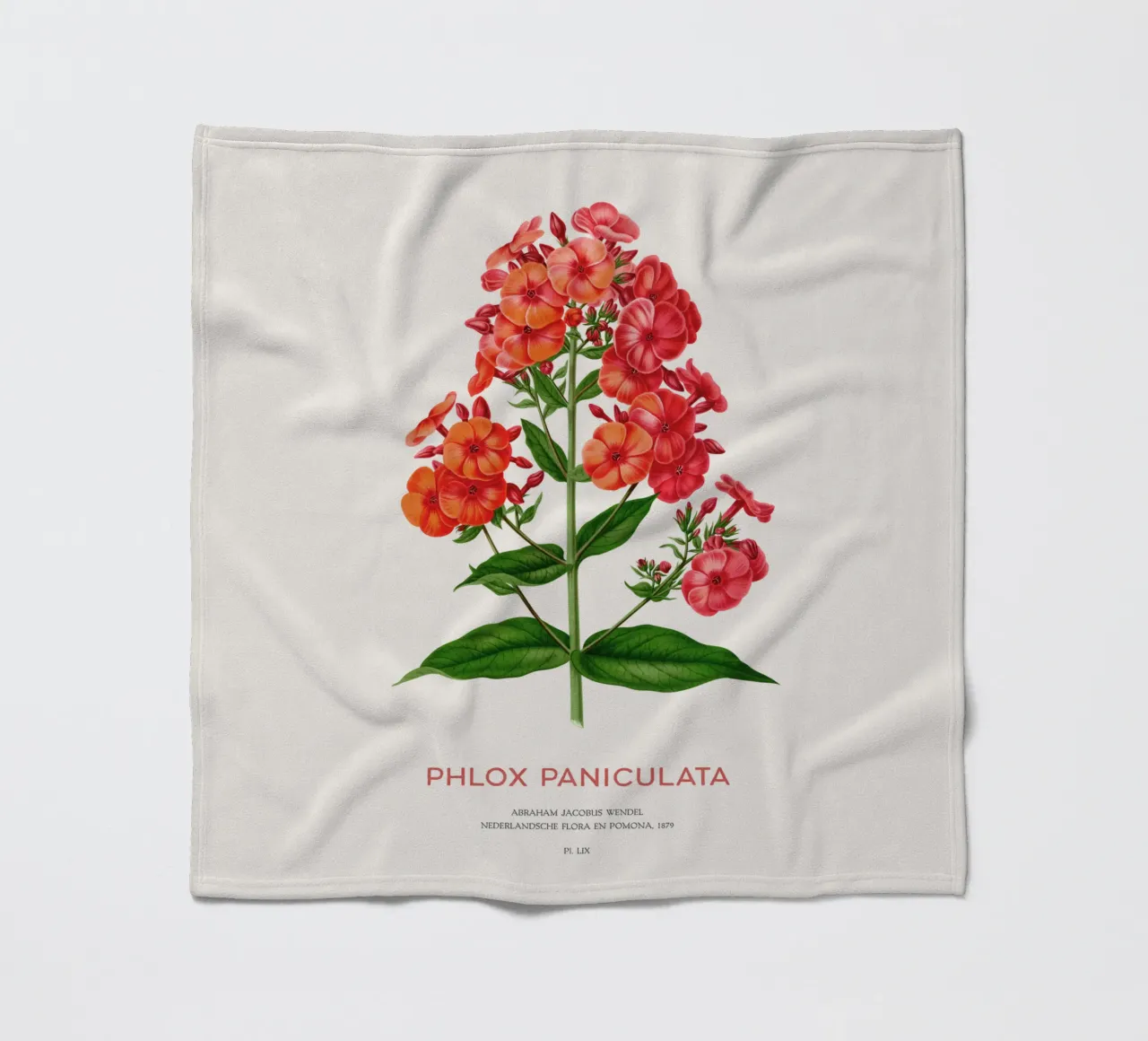 Garten-Phlox oder Phlox paniculata Fleecedecke von Vintagrafica