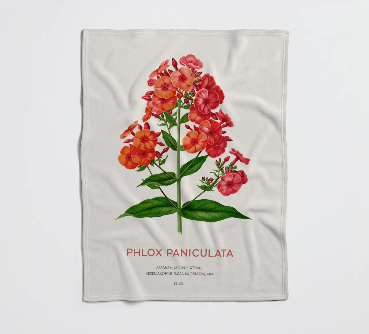 Garten-Phlox oder Phlox paniculata Fleecedecke von Vintagrafica