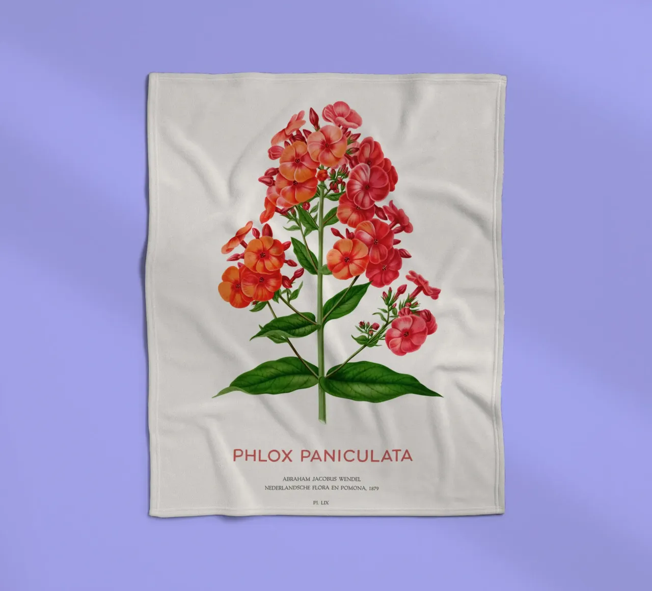 Garten-Phlox oder Phlox paniculata Fleecedecke von Vintagrafica