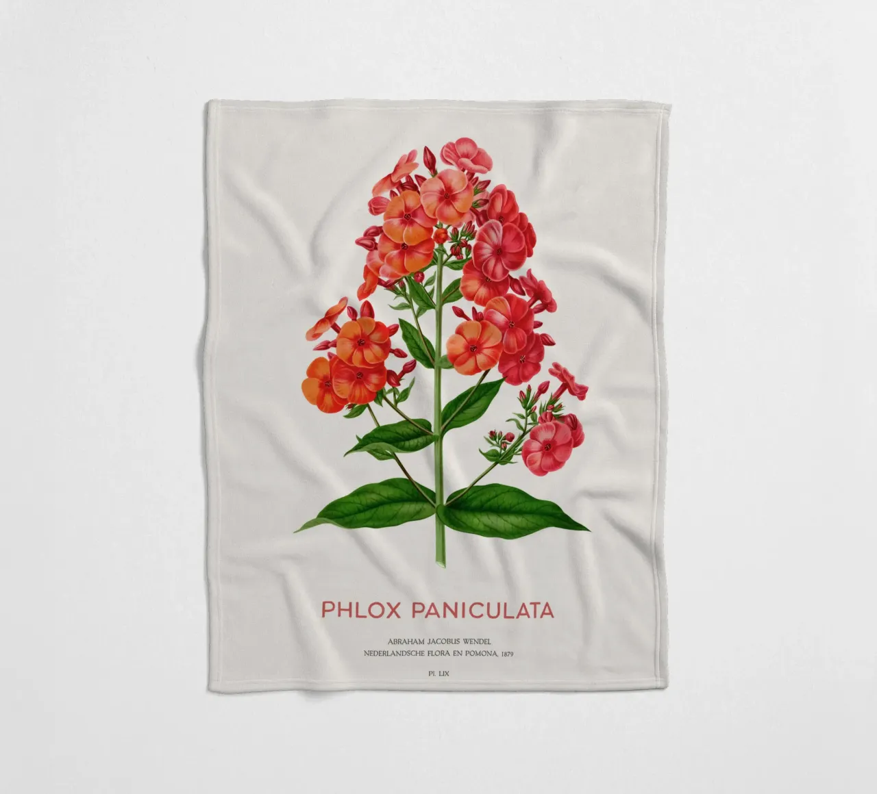 Garten-Phlox oder Phlox paniculata Fleecedecke von Vintagrafica