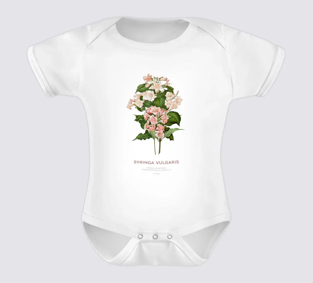 Flieder oder Syringa vulgaris Kurzarm Babybody von Vintagrafica
