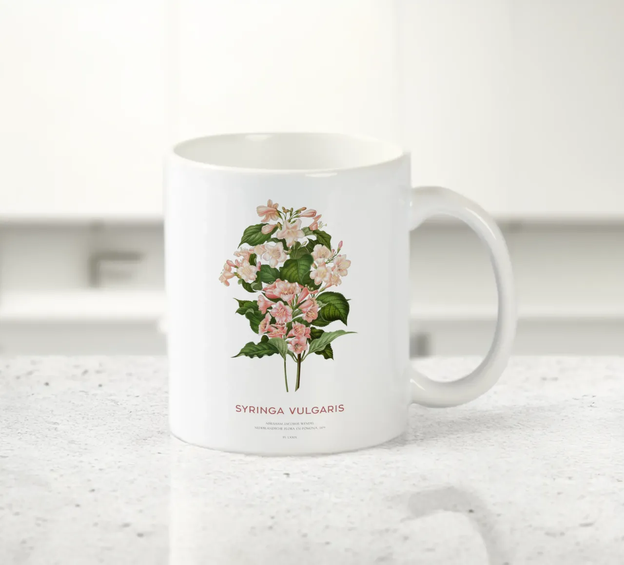 Lillà o Syringa vulgaris tazza in ceramica da Vintagrafica