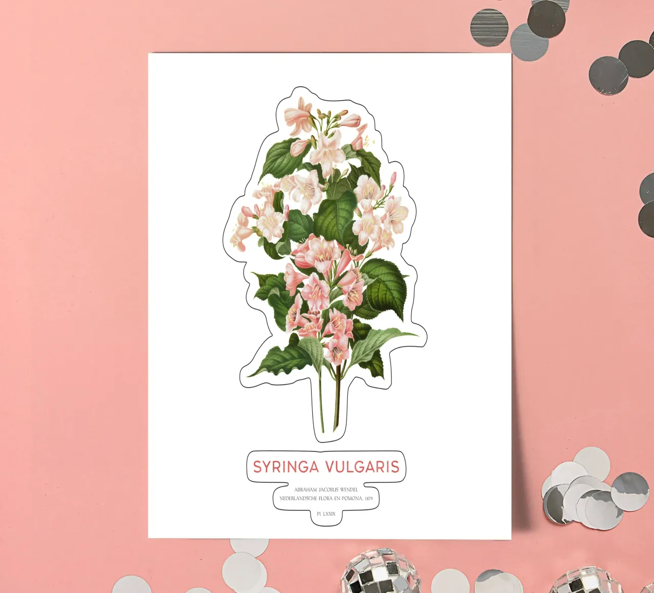 Lilac or Syringa vulgaris sticker sheet by Vintagrafica