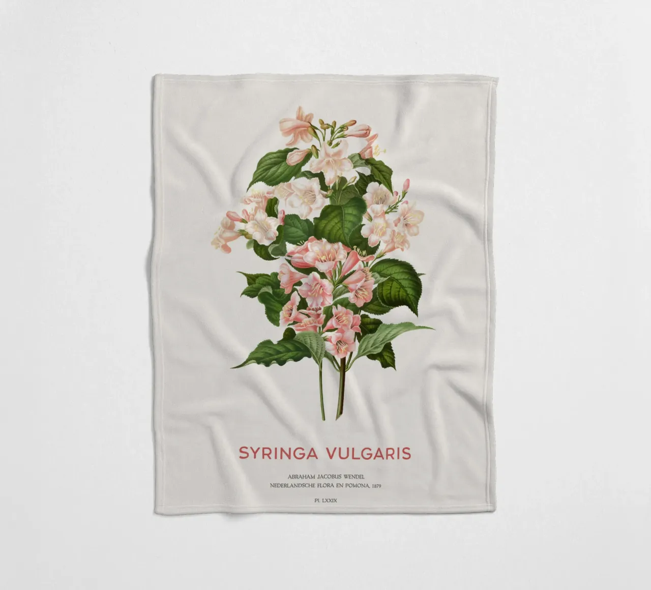 Flieder oder Syringa vulgaris Fleecedecke von Vintagrafica