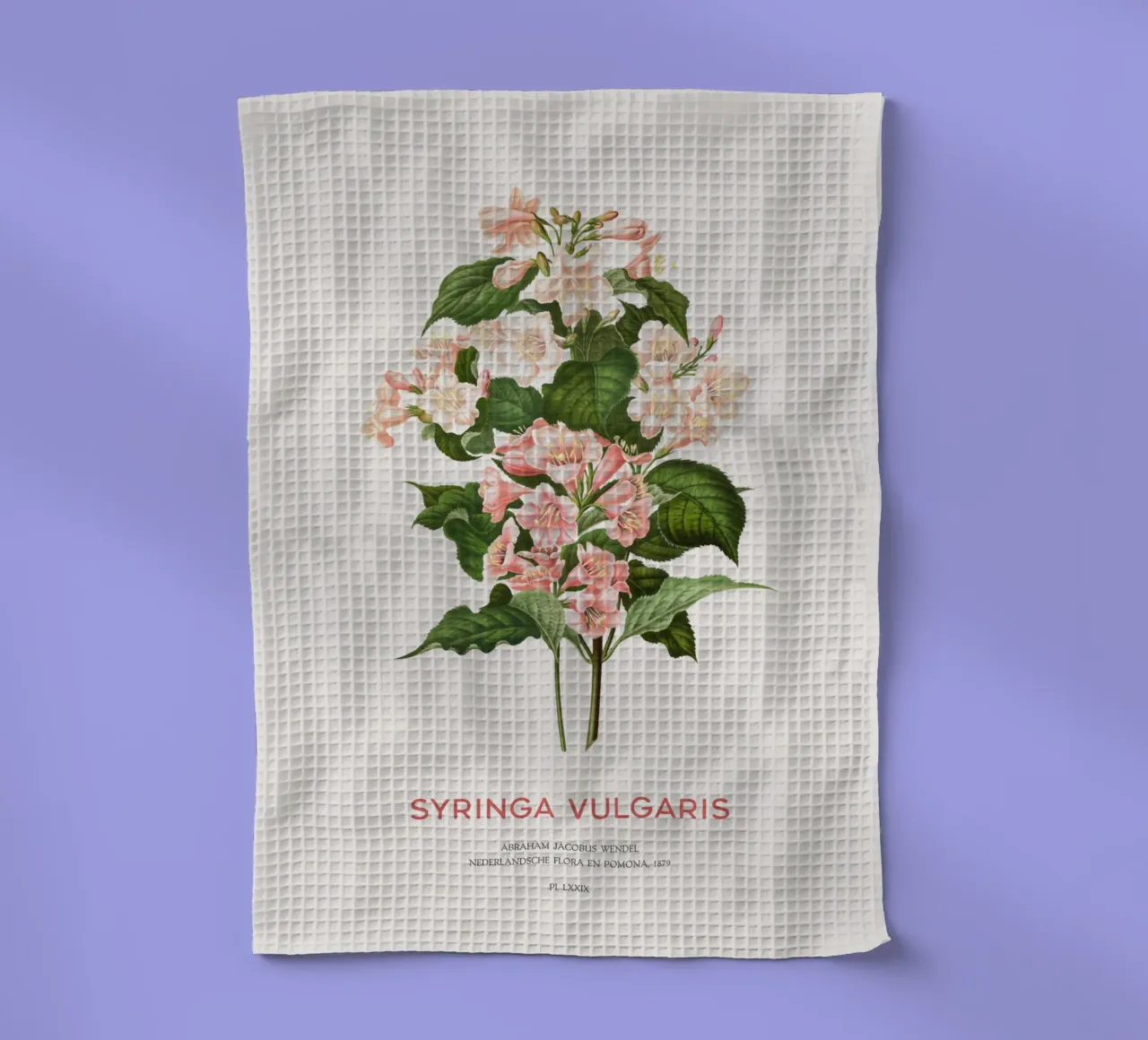 Flieder oder Syringa vulgaris Geschirrtuch von Vintagrafica
