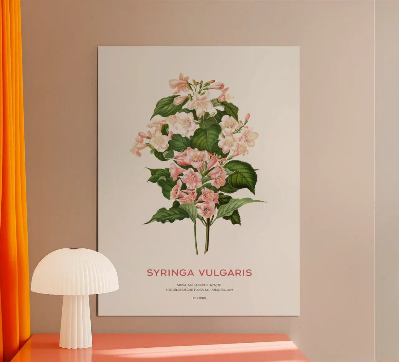 Lillà o Syringa vulgaris carta hahnemühle da Vintagrafica