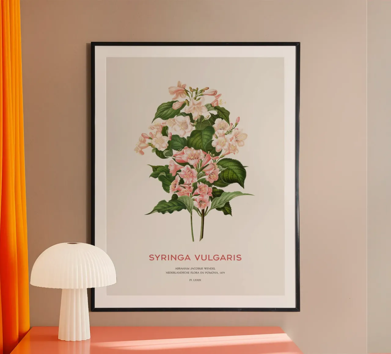 Lillà o Syringa vulgaris carta hahnemühle da Vintagrafica