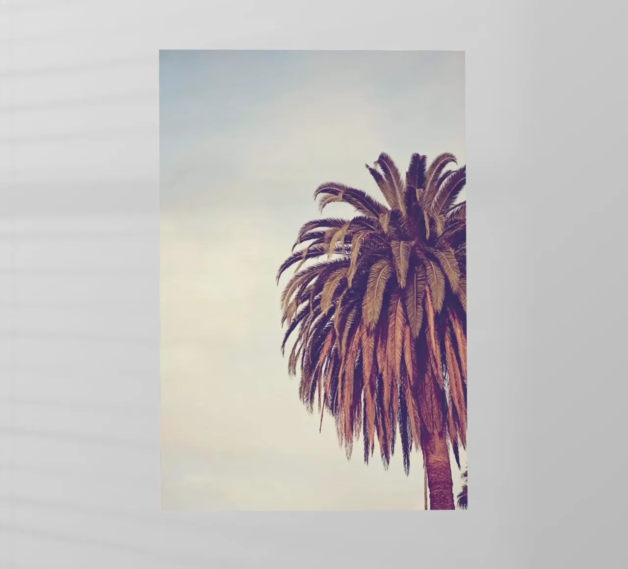 Escape pellicola backlit da Catherine McDonald