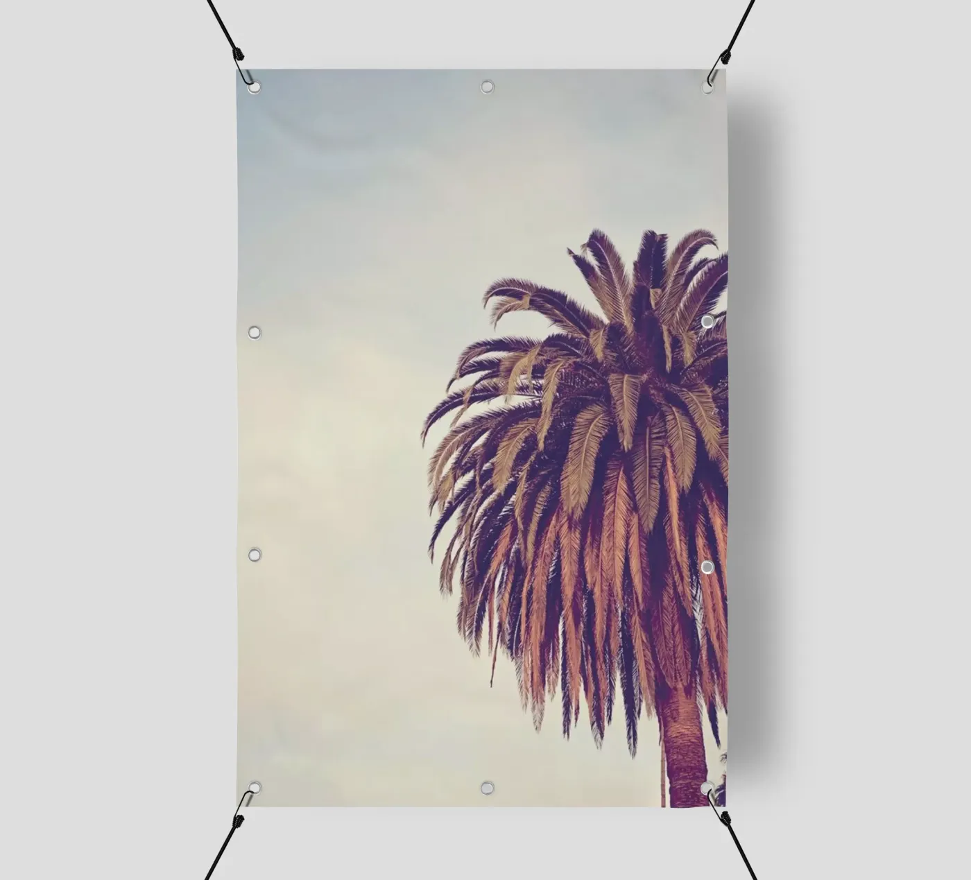 Escape PVC Plane von Catherine McDonald