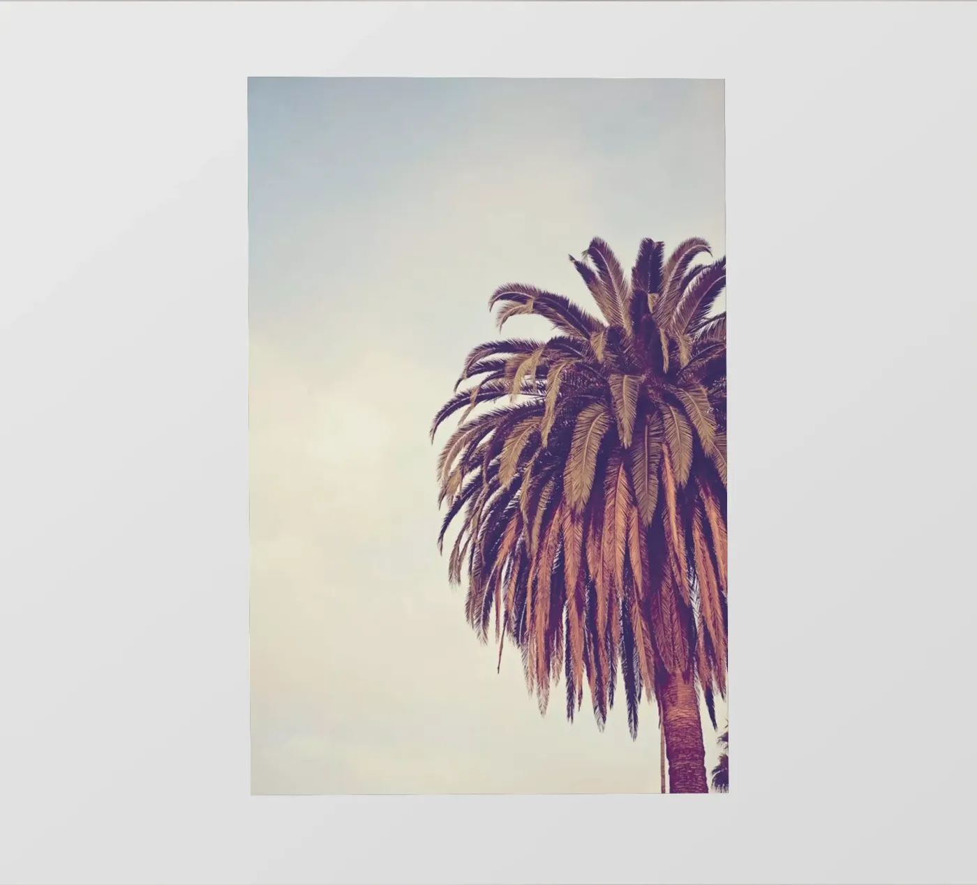 Escape PVC Plane von Catherine McDonald